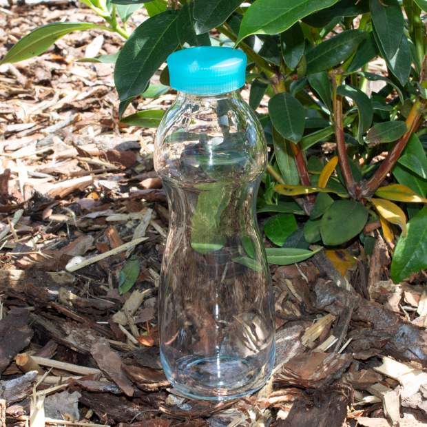 BERTA Wasserflasche aus Glas mit Schraub-Deckel als Trinkflasche 500ml