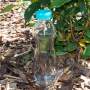 BERTA Wasserflasche aus Glas mit Schraub-Deckel als Trinkflasche 500ml