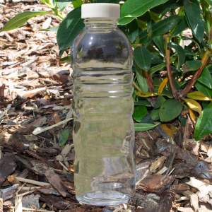 PURE Trinkflasche aus Glas mit Blume des Lebens 500ml...