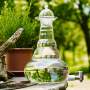 BEAUTY Mundgeblasene Vitalisierungs-Karaffe mit Lebensblume 5 Liter